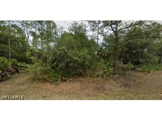 318 Wells Avenue Lehigh Acres FL 33936 226009663 image1