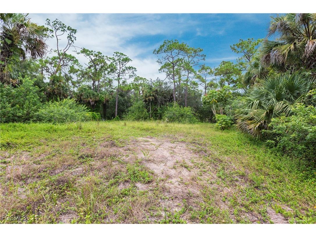 3180 Packinghouse Road Alva FL 33920 2025009395 image4