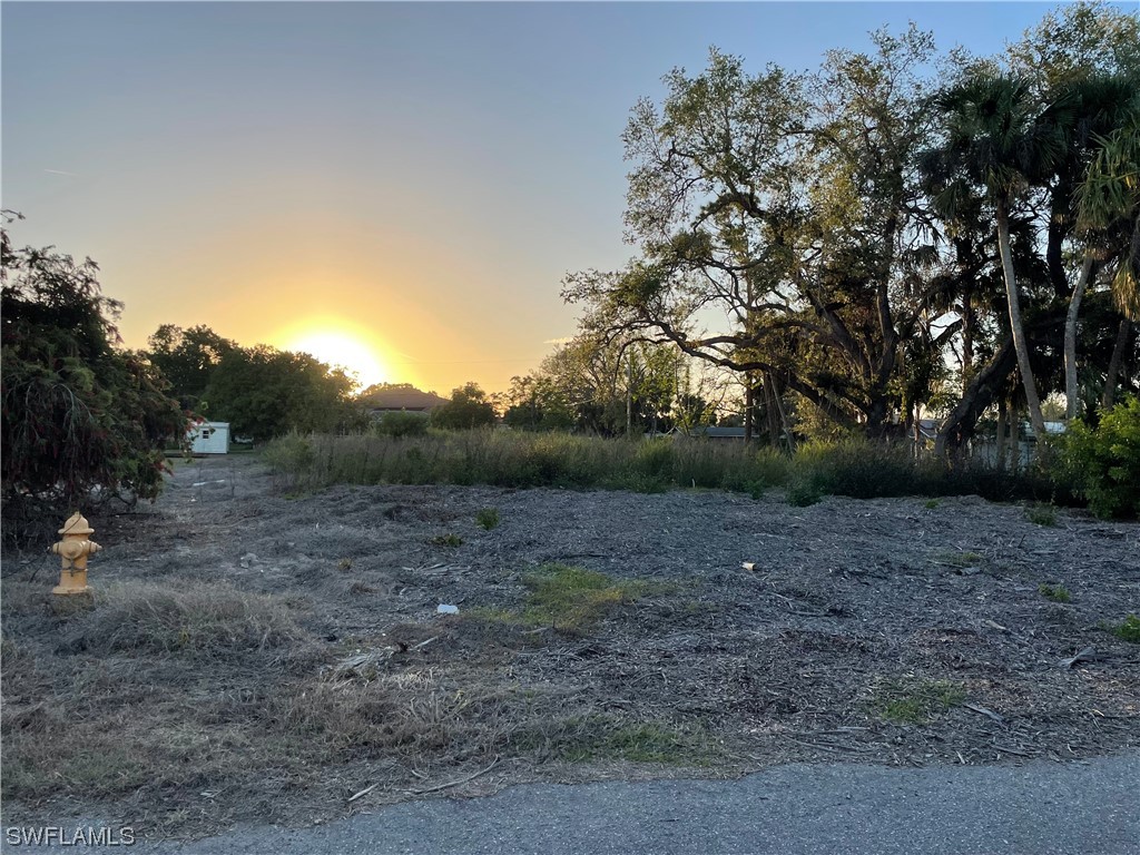 319 Broadway Avenue Lehigh Acres FL 33936 223023419 image1