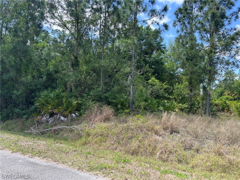 319 Monroe Avenue Lehigh Acres FL 33936 224028526 image1