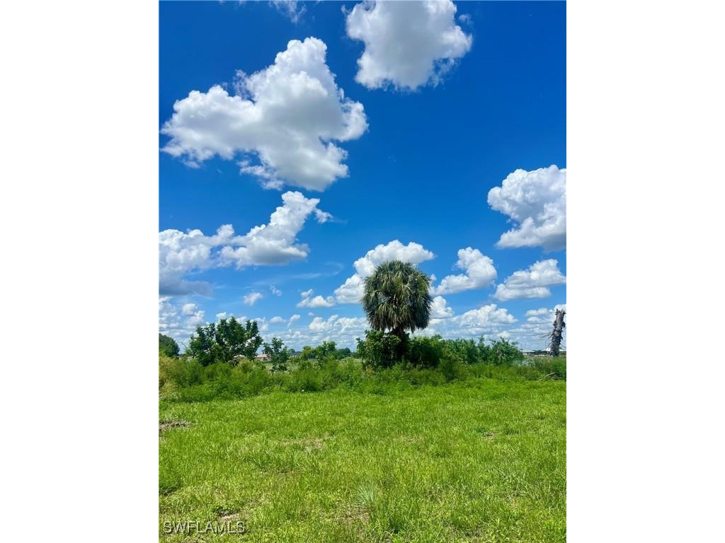 319 NW 11th Terrace Cape Coral FL 33993 225059045 image2