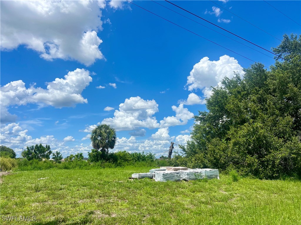 319 NW 11th Terrace Cape Coral FL 33993 225059045 image4