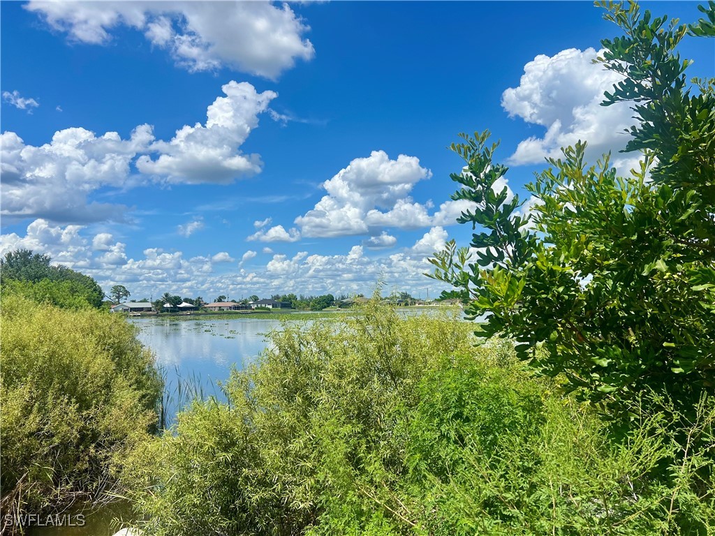 319 NW 11th Terrace Cape Coral FL 33993 225059045 image6