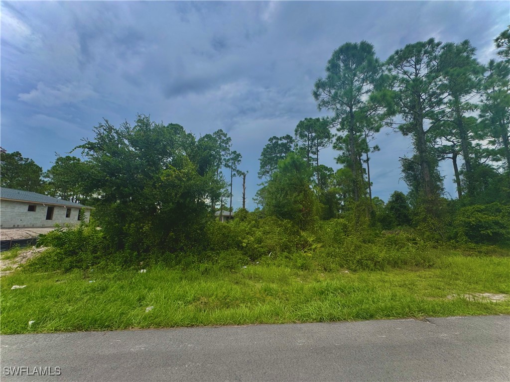 320 Loire Avenue S Lehigh Acres FL 33974 224077473 image1