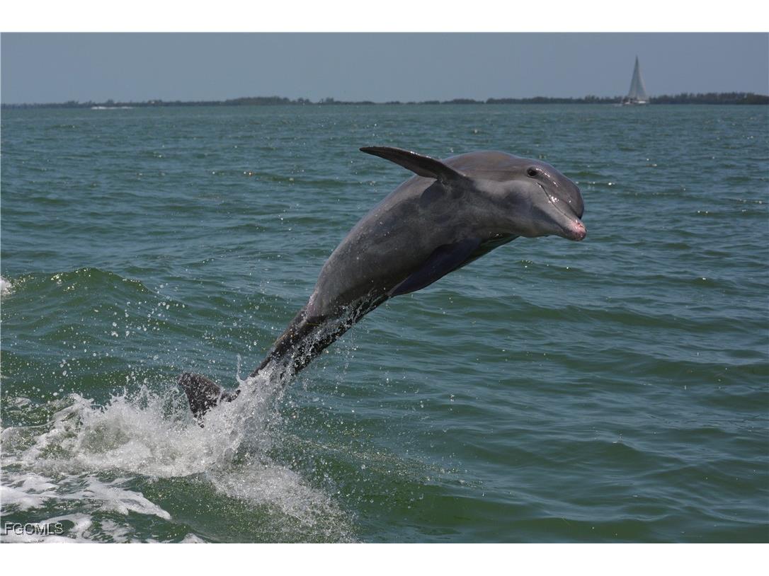 320 Pieces Of Eight Captiva FL 33924 2025017911 image17