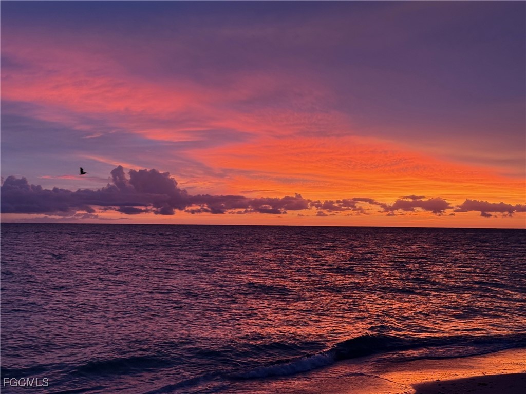 320 Pieces Of Eight Captiva FL 33924 2025017911 image24