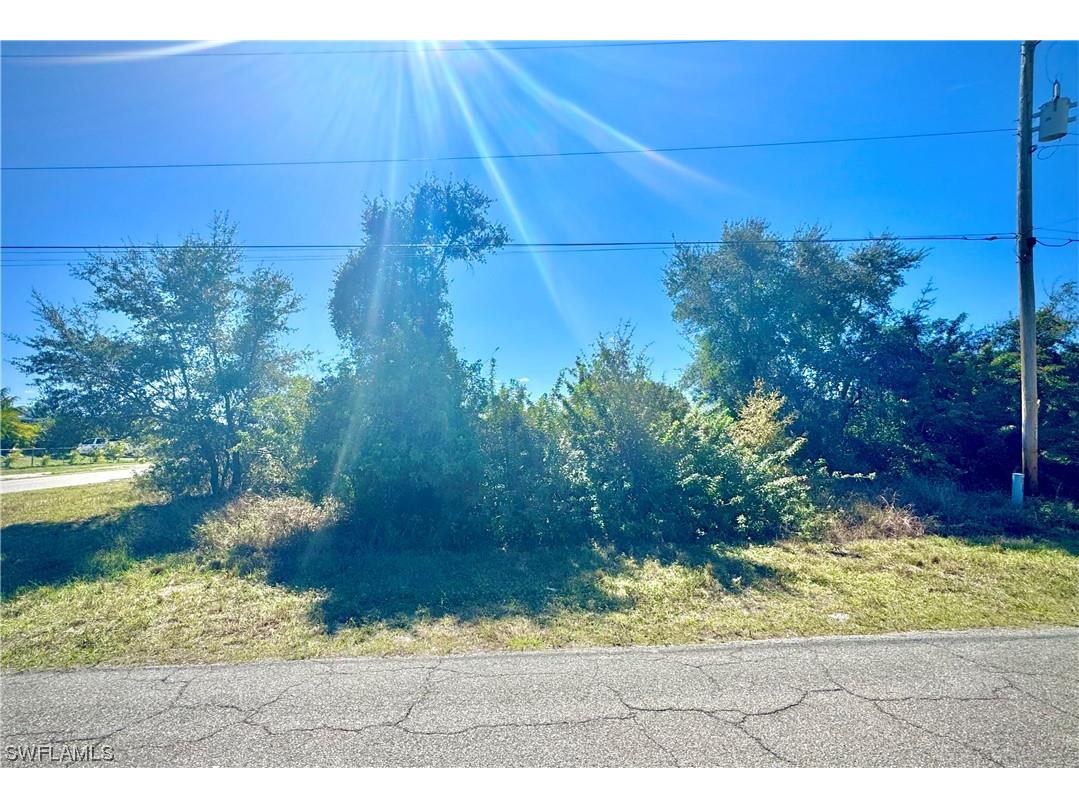 3201 7th Street SW Lehigh Acres FL 33976 224009879 image1