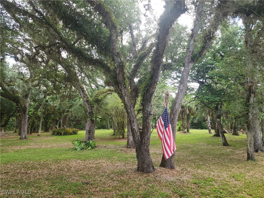 3201 Bateman Road Alva FL 33920 225044837 image1