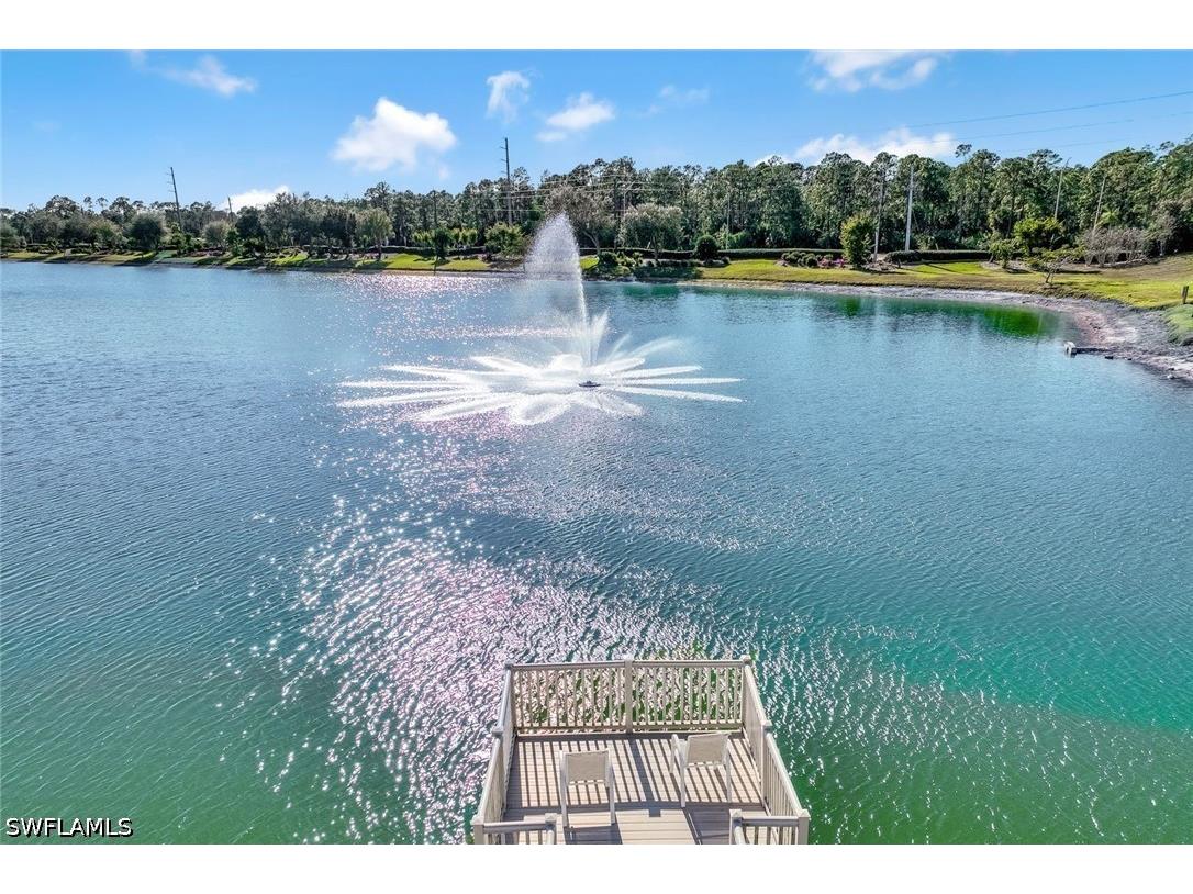 3201 Brookeview Court Naples FL 34120 226020475 image41