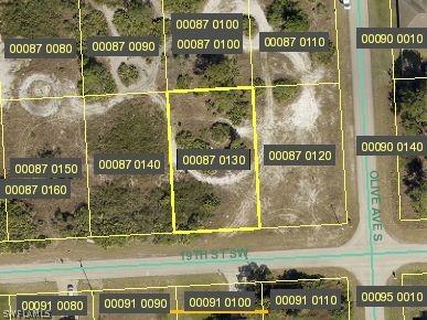 3202 19th Street SW Lehigh Acres FL 33976 224052999 image1