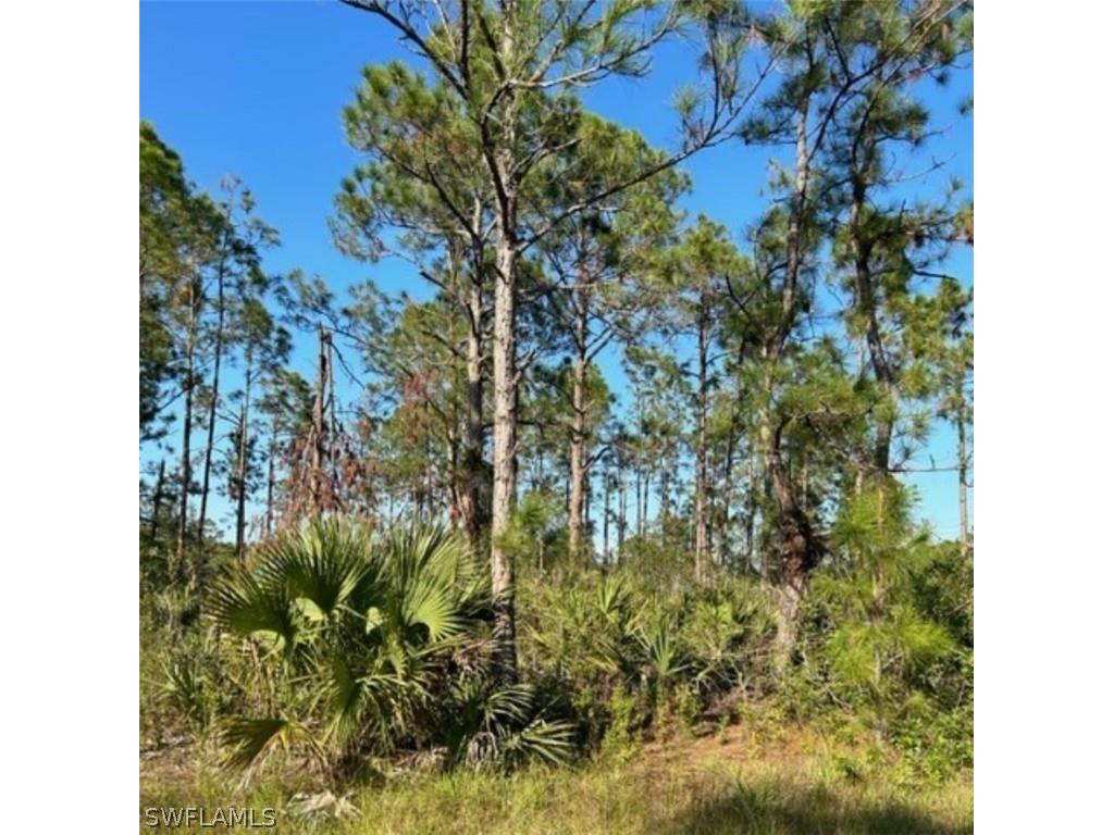 3202 32nd Street W Lehigh Acres FL 33971 222086769 image1