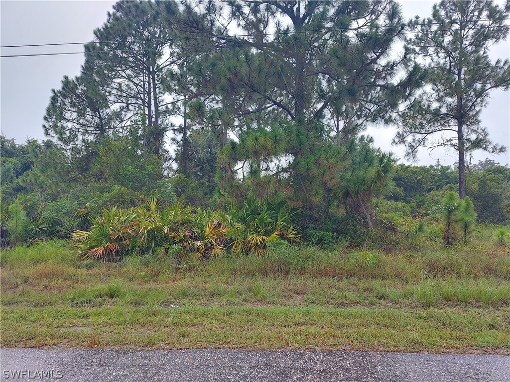 3202 7th Street W Lehigh Acres FL 33971 222061378 image1