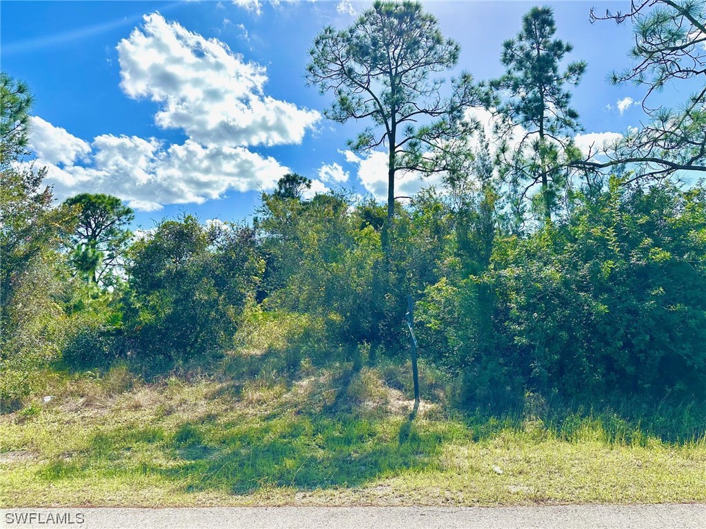 3203 10th Street W Lehigh Acres FL 33971 223085557 image1