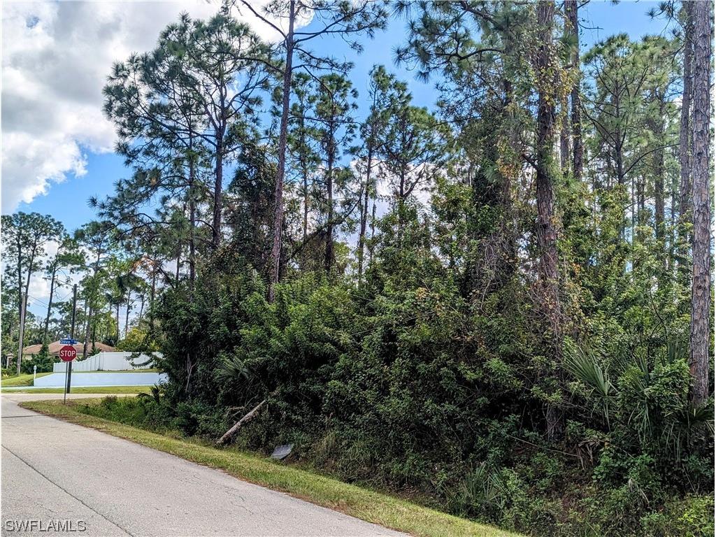 3203 19th Street W Lehigh Acres FL 33971 223078461 image1