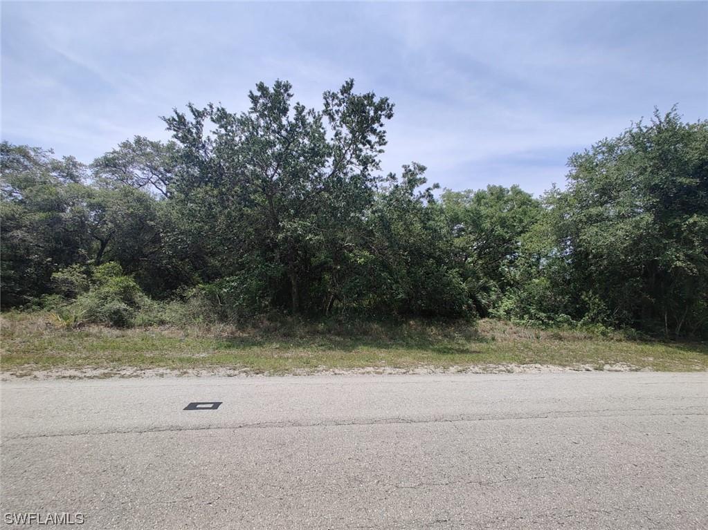 3204 E 18th Street Lehigh Acres FL 33972 223035126 image1