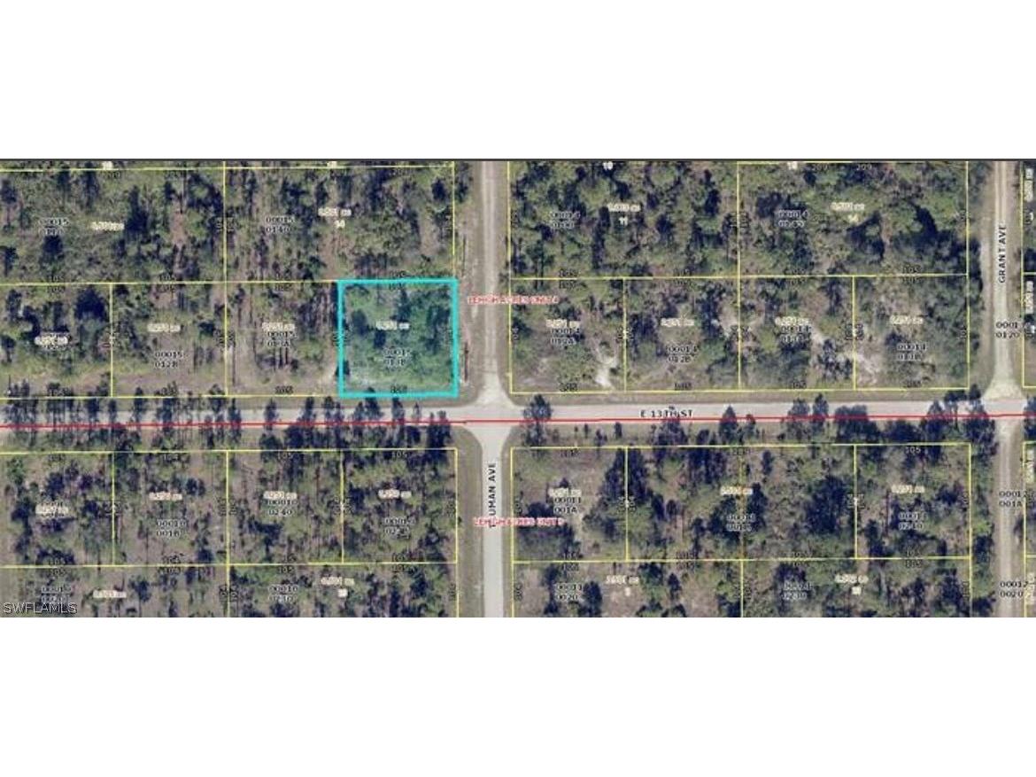 3207 E 13th Street Lehigh Acres FL 33972 224043552 image1