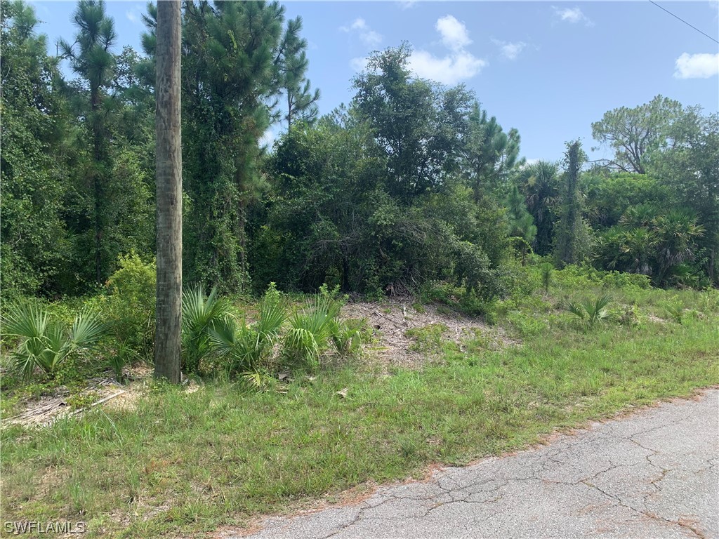 3207 E 15th Street Lehigh Acres FL 33972 223044651 image1