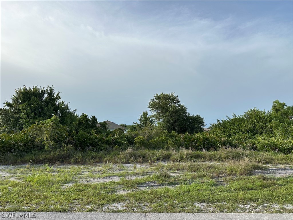 3208 14th Street SW Lehigh Acres FL 33976 224062131 image1