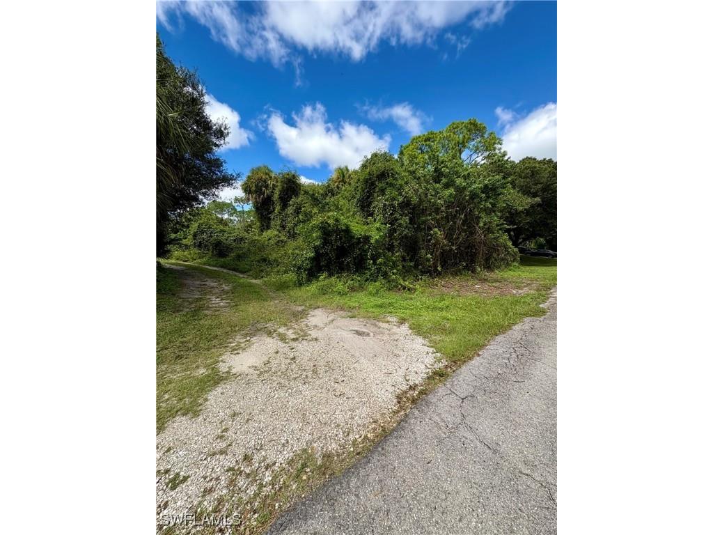 321 Jackson Avenue Lehigh Acres FL 33936 225074722 image3