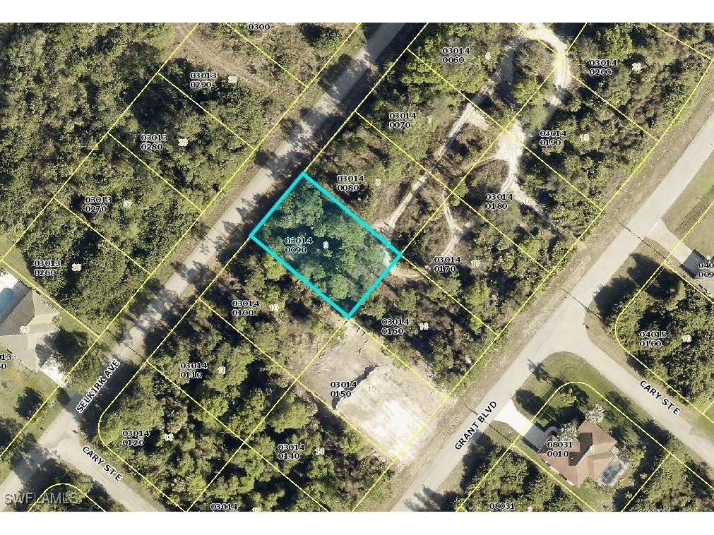 321 Selkirk Avenue Lehigh Acres FL 33974 224064662 image1