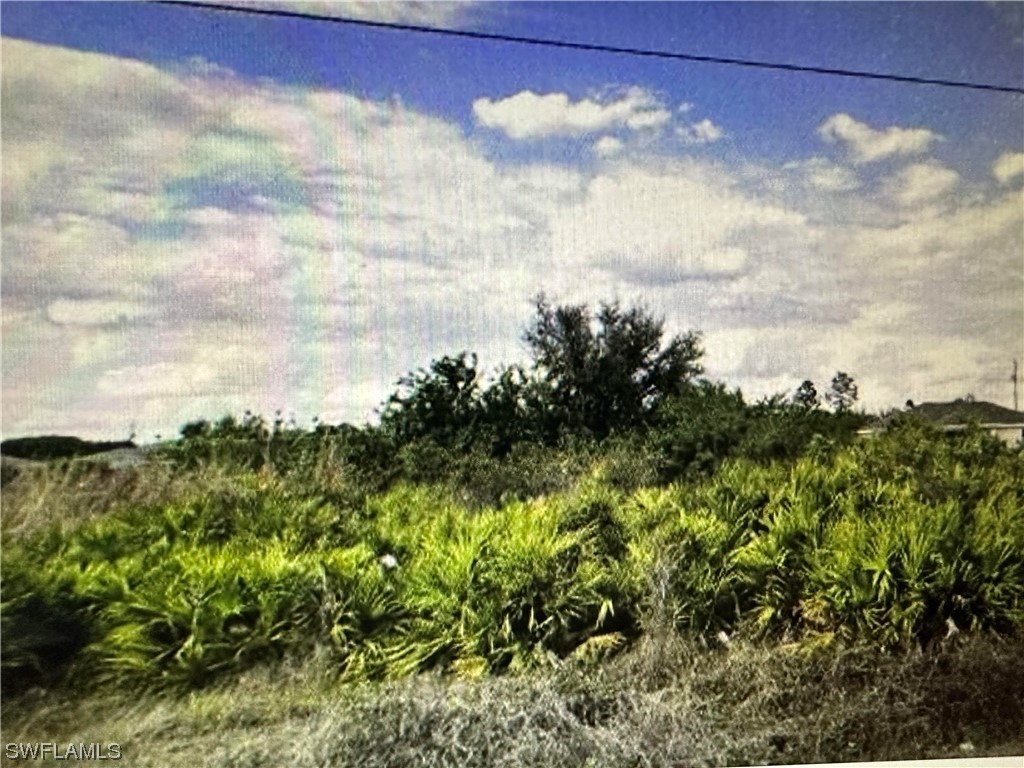 3210 22nd Street SW Lehigh Acres FL 33976 223024958 image1