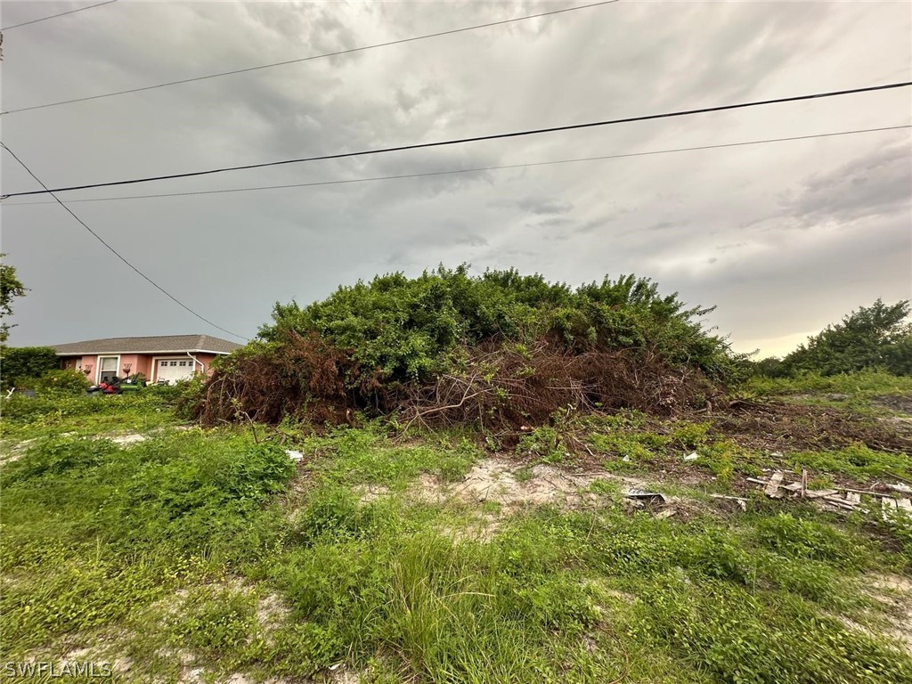 3211 15th Street SW Lehigh Acres FL 33976 224058769 image1