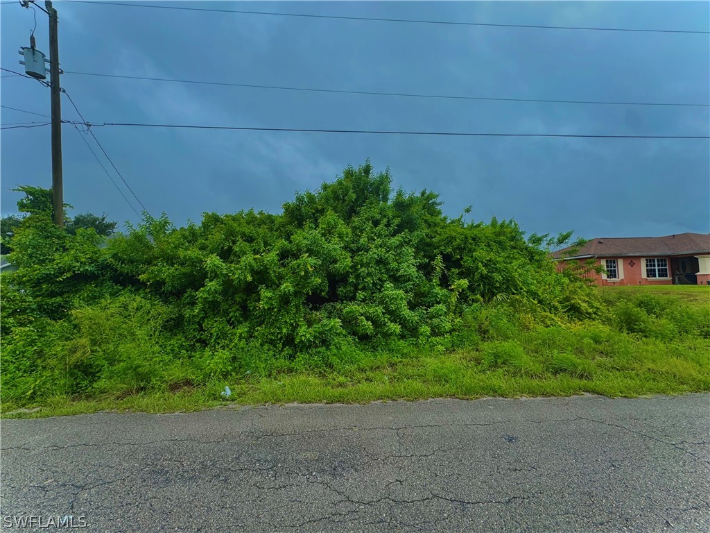 3211 19th Street SW Lehigh Acres FL 33976 224057026 image1