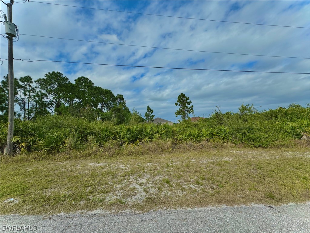 3216 17th Street SW Lehigh Acres FL 33976 224007776 image1