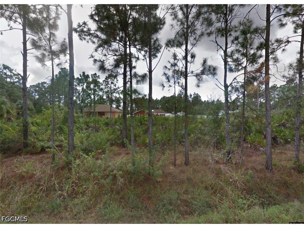 3217 21st Street W Lehigh Acres FL 33971 2026014908 image1