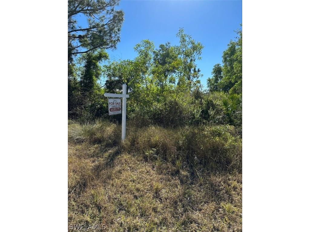 3217 26th Street SW Lehigh Acres FL 33976 223002734 image1