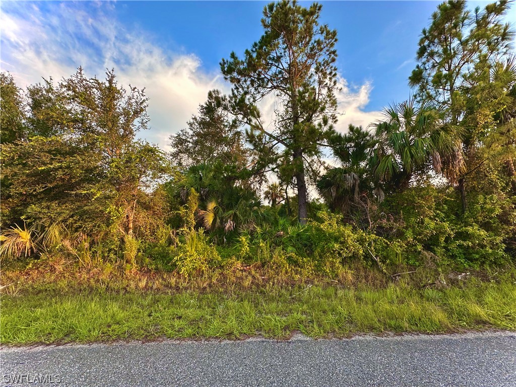 3217 51st Street W Lehigh Acres FL 33971 223048584 image1