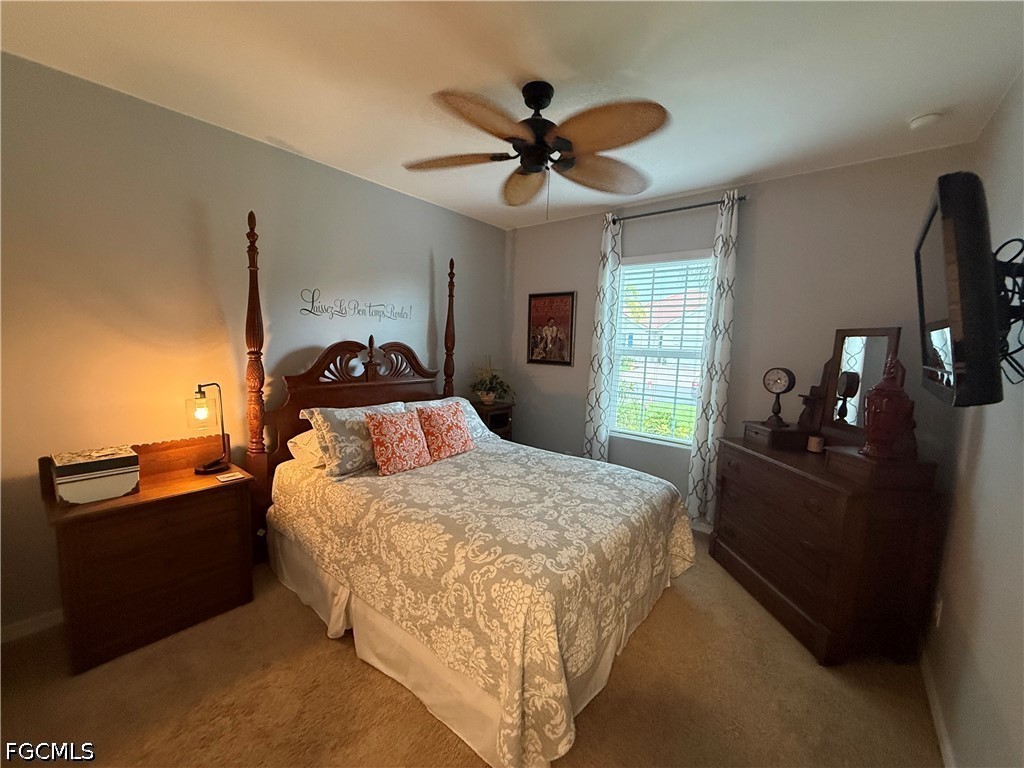 3217 Birch Tree Lane Alva FL 33920 2026027859 image46