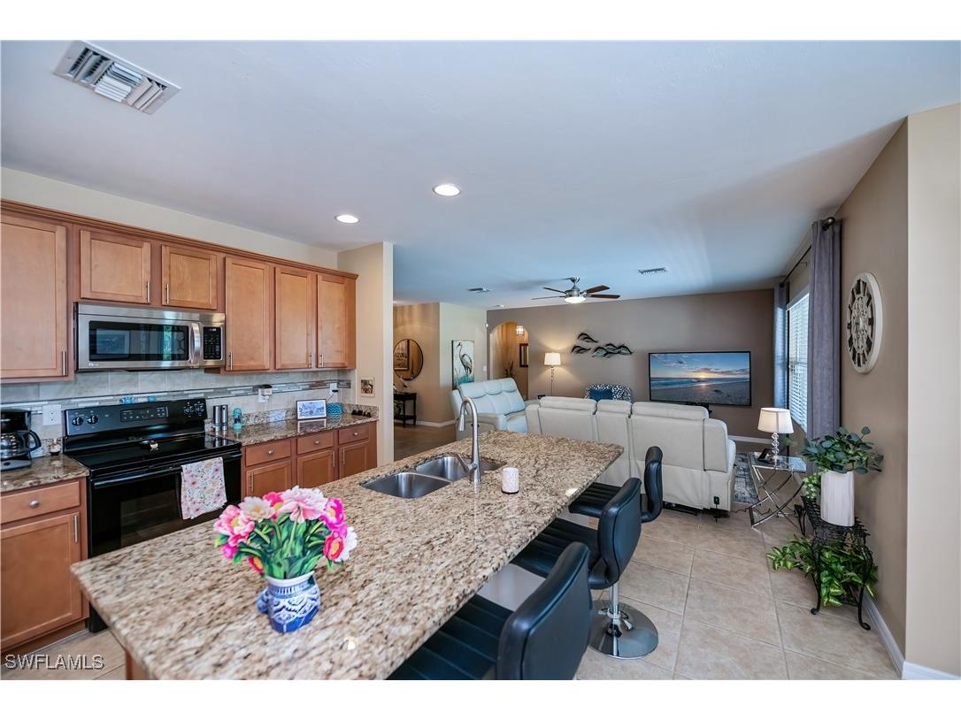 3217 Birch Tree Lane Alva FL 33920 225002607 image3