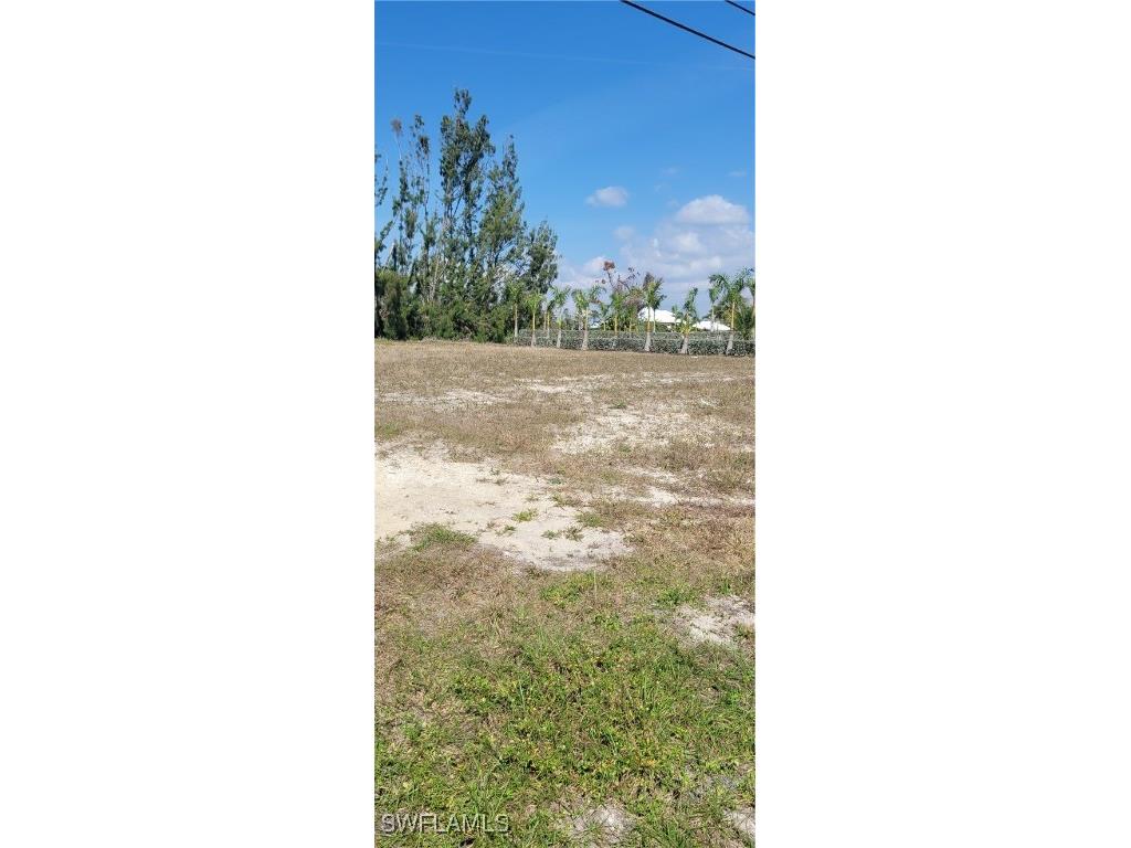3217 NW 21st Street Cape Coral FL 33993 225041897 image1