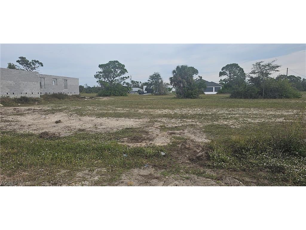 3217 NW 41st Place Cape Coral FL 33993 2025009940 image2