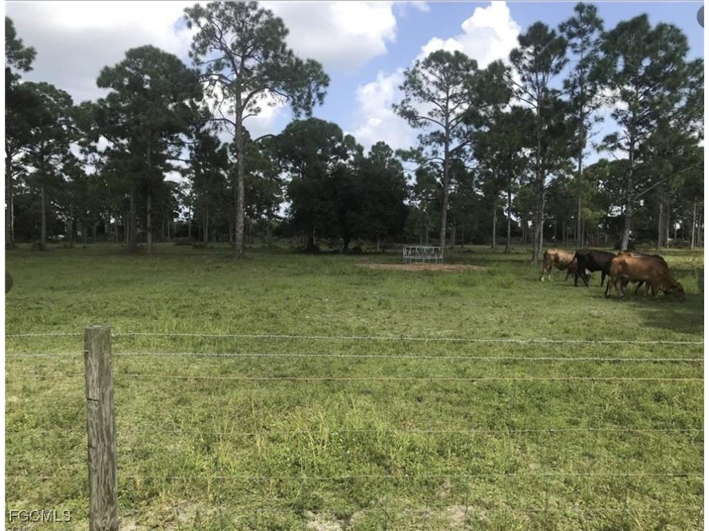 3220 Andalusia Boulevard Cape Coral FL 33909 2026004573 image1