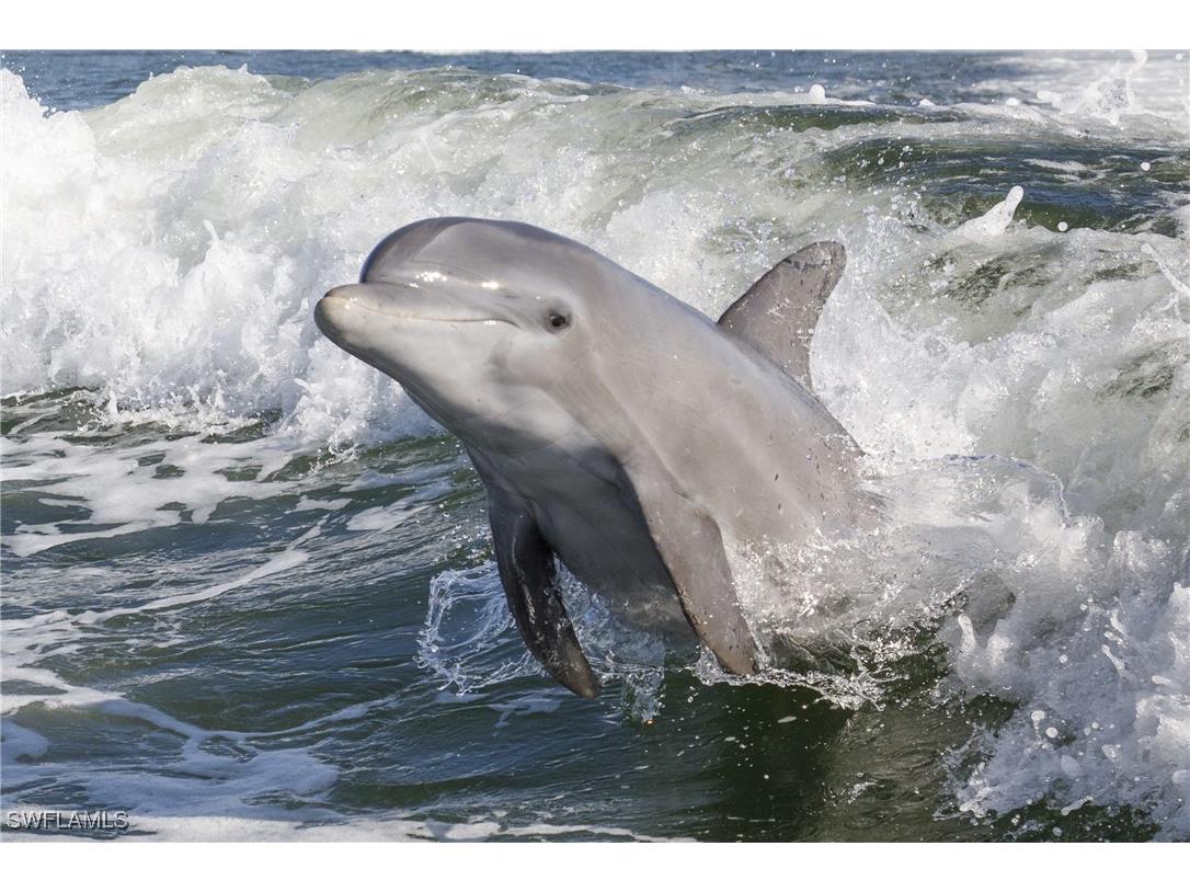 3221 Tennis Villas Captiva FL 33924 225006569 image30