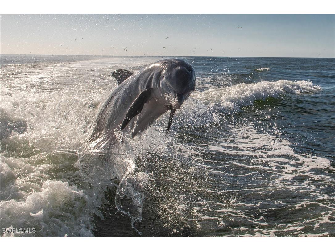 3222 Tennis Villas Captiva FL 33924 225030193 image32