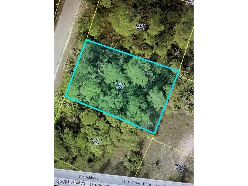 323 Mangonia Avenue Lehigh Acres FL 33974 221076551 image1