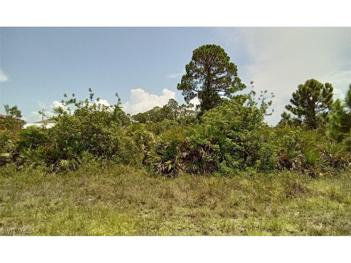 323 Palisades Avenue Lehigh Acres FL 33974 223070001 image1