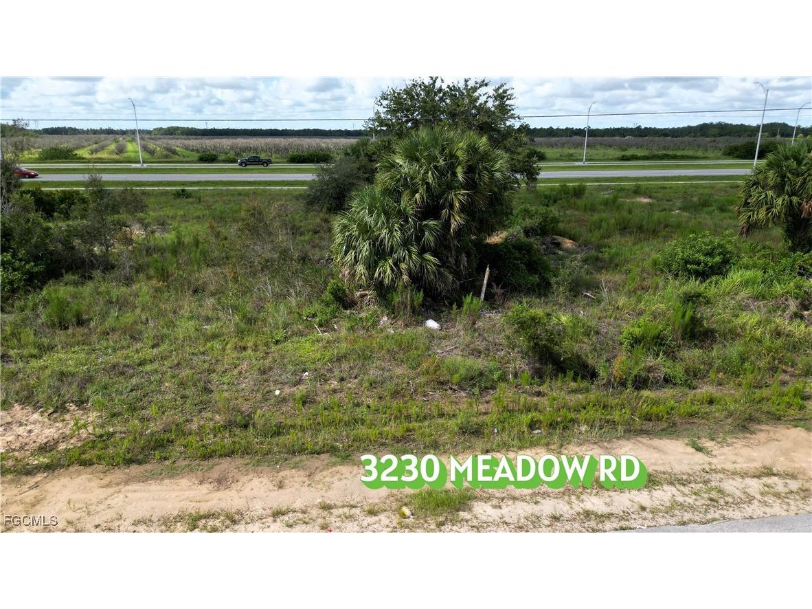 3230 Meadow Road Lehigh Acres FL 33974 2025005444 image3