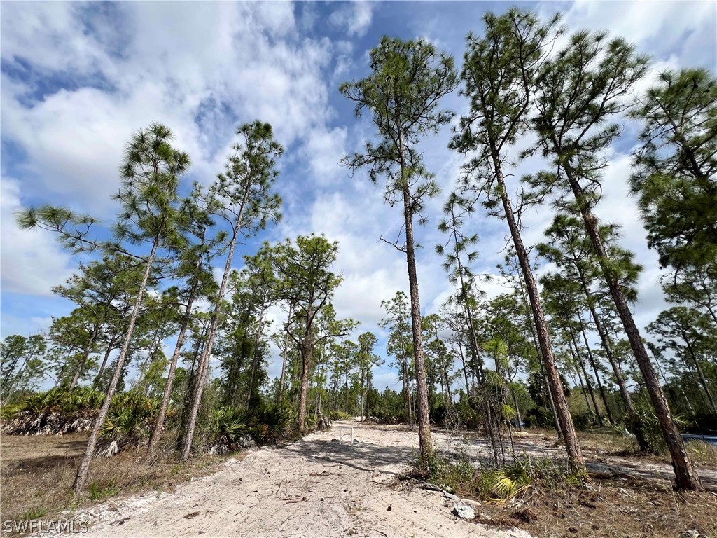 3231 41st Avenue NE Naples FL 34120 226011248 image26