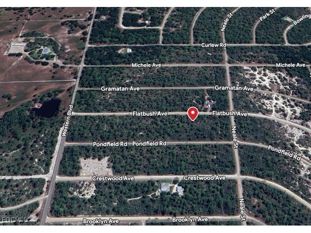 3234 Flatbush Avenue Lake Placid FL 33852 2025021694 image2