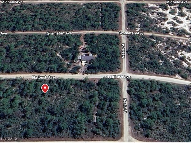 3234 Flatbush Avenue Lake Placid FL 33852 2025021694 image3