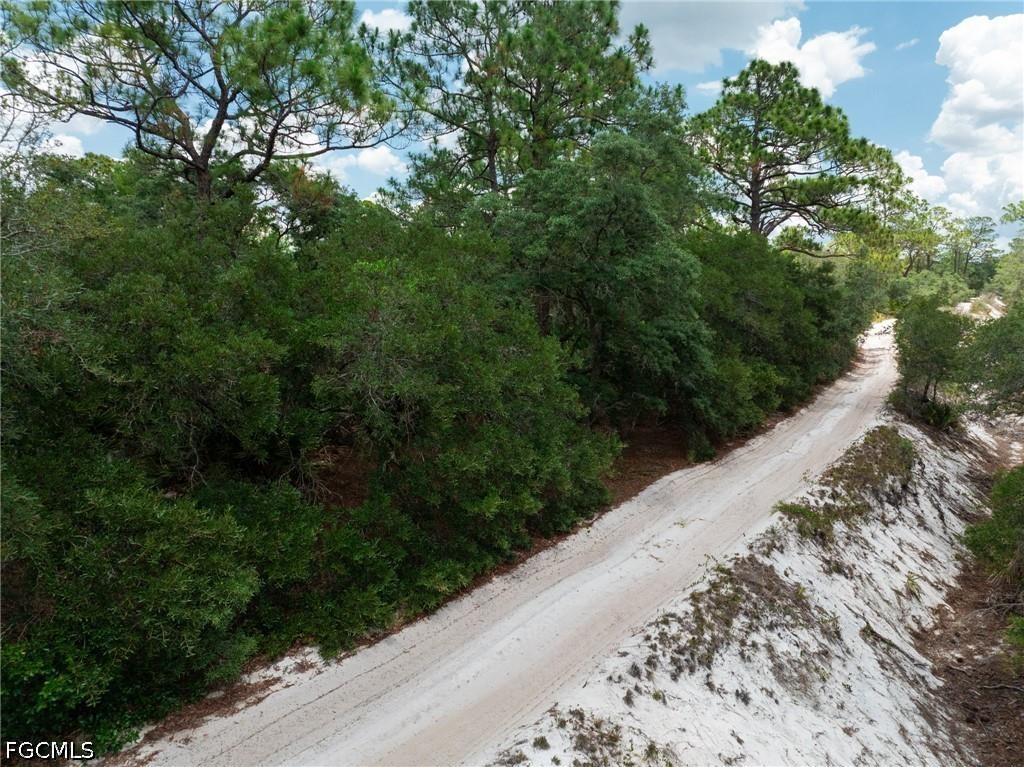 3238 Gossamer Avenue Lake Placid FL 33852 2026026179 image10