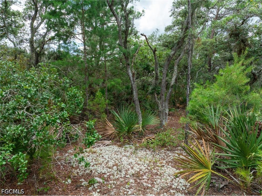 3238 Gossamer Avenue Lake Placid FL 33852 2026026179 image11