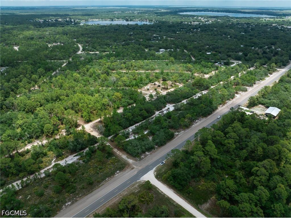 3238 Gossamer Avenue Lake Placid FL 33852 2026026179 image12