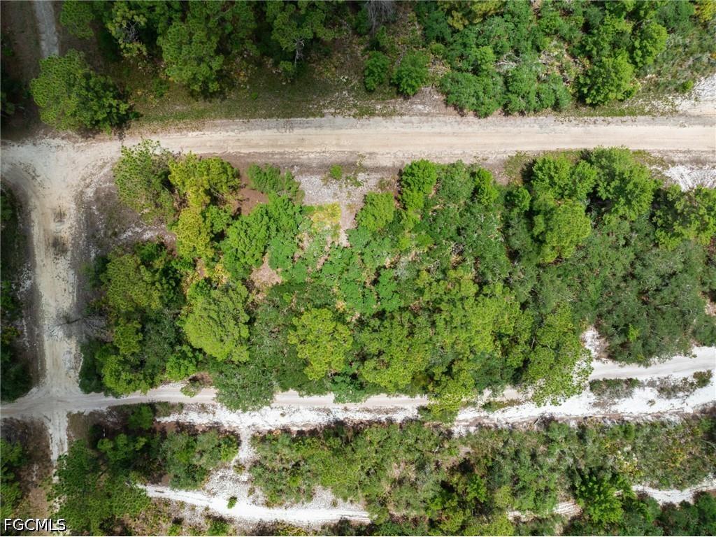 3238 Gossamer Avenue Lake Placid FL 33852 2026026179 image2