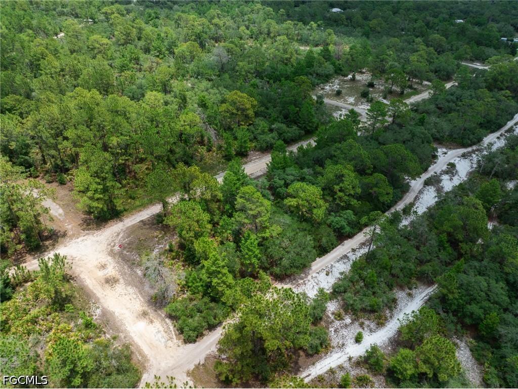 3238 Gossamer Avenue Lake Placid FL 33852 2026026179 image4
