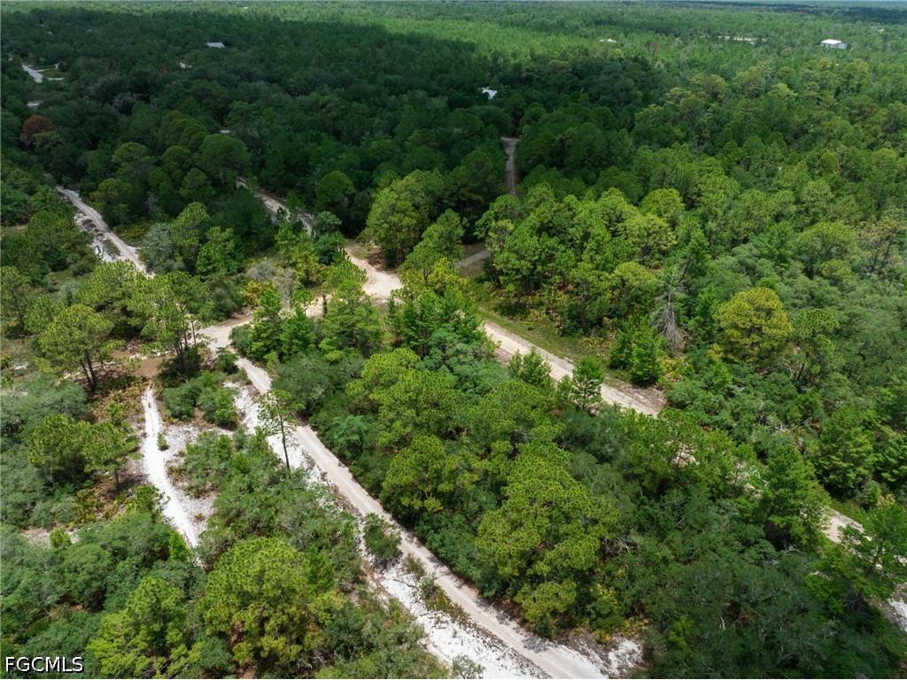 3238 Gossamer Avenue Lake Placid FL 33852 2026026179 image7
